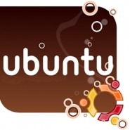 Ubuntu 10.04 Server Guide PDF