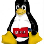 Watch Netflix on Archlinux