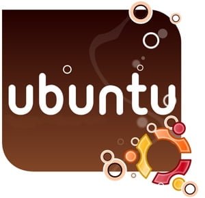 Ubuntu 10.04 Server Guide PDF